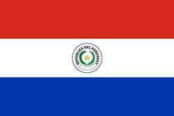 巴拉圭 战队徽标